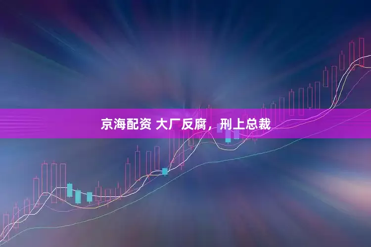 京海配资 大厂反腐，刑上总裁